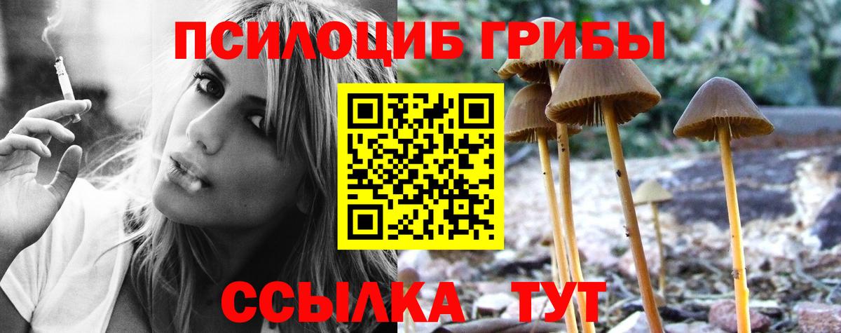 Псилоцибиновые грибы Psilocybine cubensis Еманжелинск